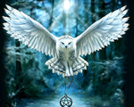 Majestic white owl with pentagram cross stitch kit for beginners
