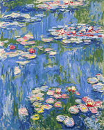 Monet style pink water lilies paint by numbers kit for beginners
