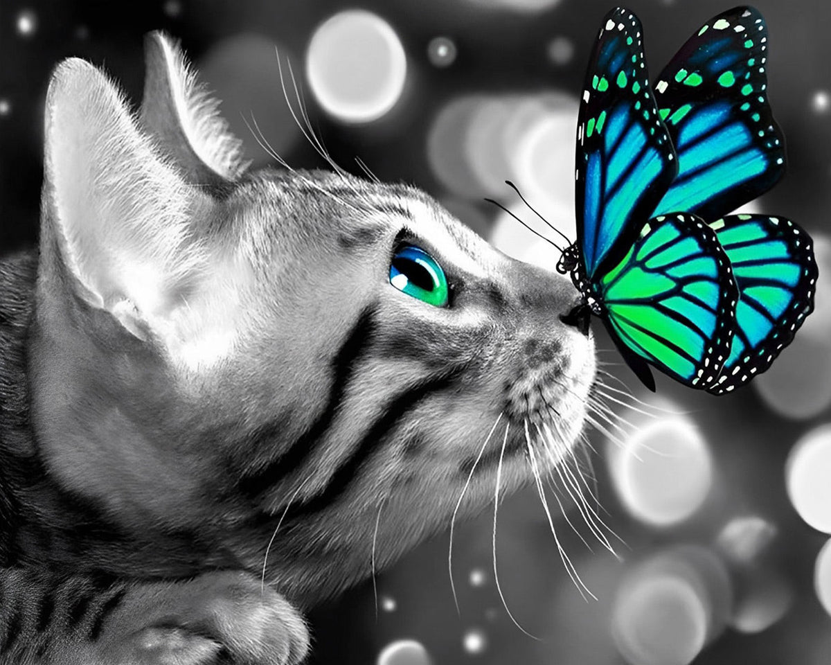 Monochrome cat and green butterfly cross stitch kit for beginners