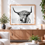 Finished monochrome highland cow portrait cross stitch artwork displayed