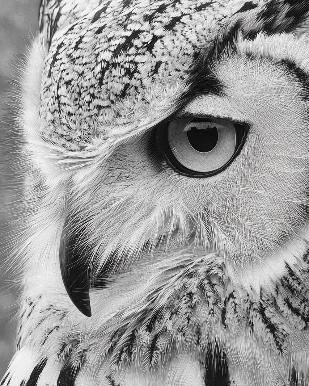 Monochrome owl eye close up cross stitch kit for beginners