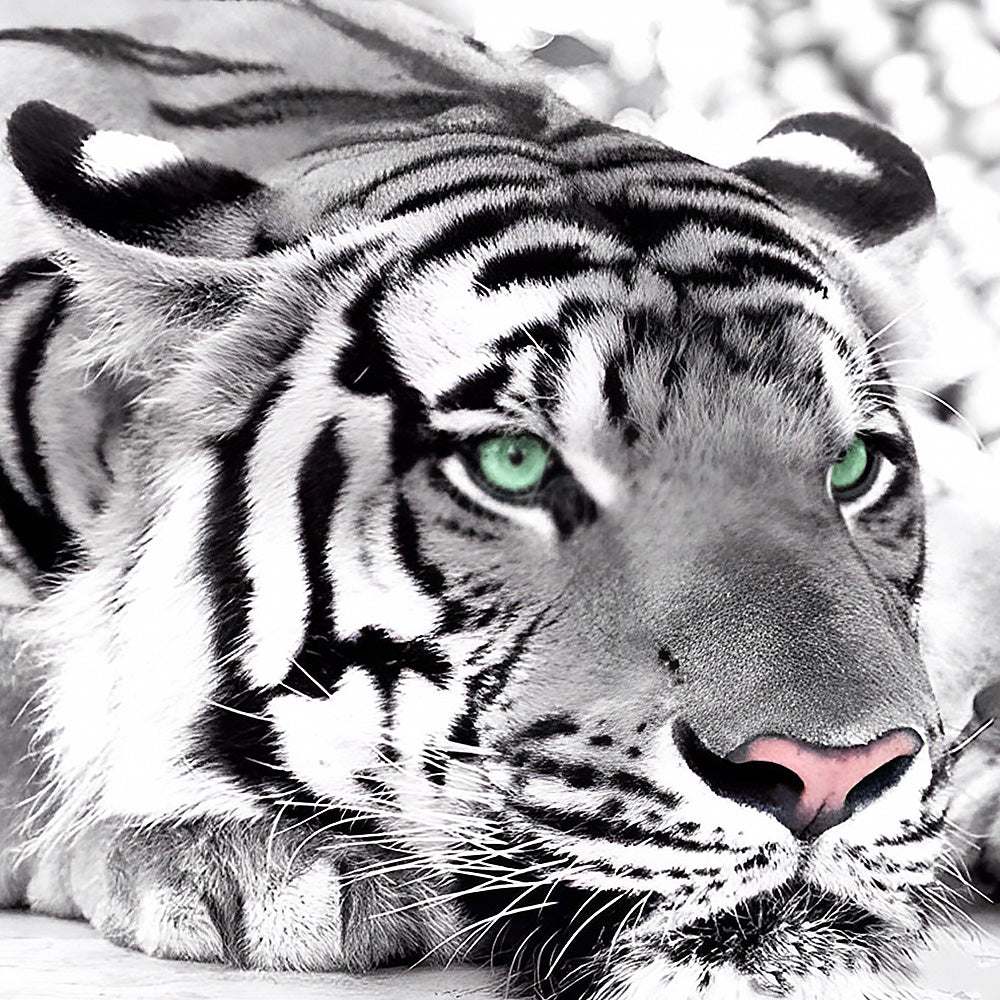Monochrome tiger with green eyes cross stitch kit for beginners