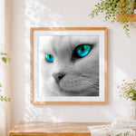 Finished monochrome white cat with blue eyes cross stitch artwork displayed