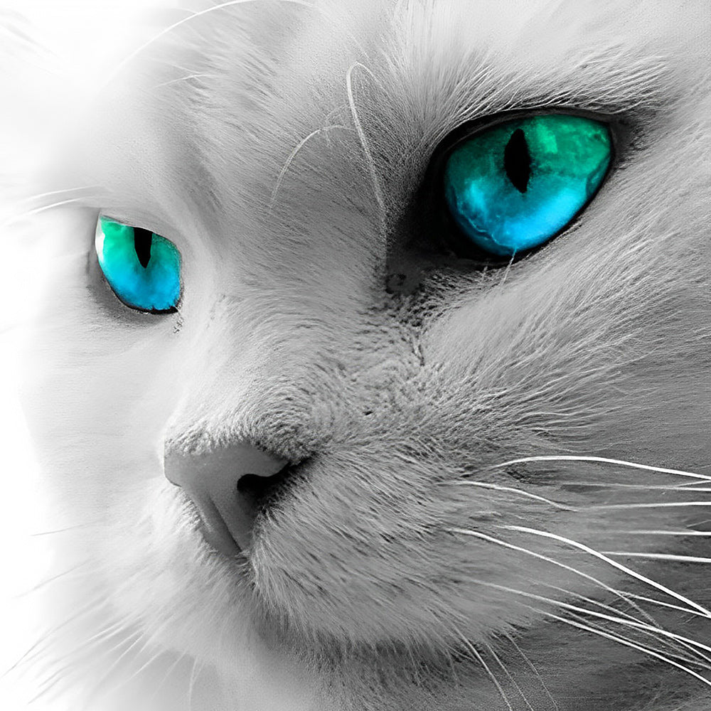 Monochrome white cat with blue eyes cross stitch kit for beginners