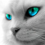 Monochrome white cat with blue eyes cross stitch kit for beginners