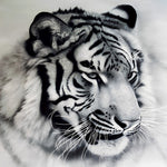 Monochrome white tiger portrait cross stitch kit for beginners