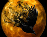 Mystical black raven and full moon cross stitch kit for beginners