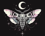 Mystical moth with moon and stars paint by numbers kit for beginners