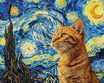 Orange cat in van goghs starry night paint by numbers kit for beginners