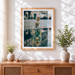 Finished orange cat water reflection cross stitch artwork displayed