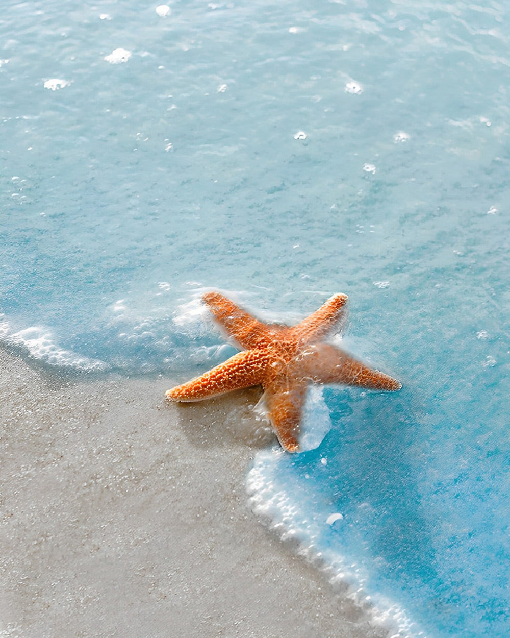 Orange starfish in ocean waves paint by numbers kit for beginners