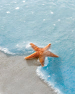 Orange starfish in ocean waves paint by numbers kit for beginners