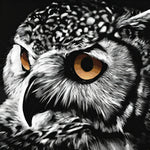 Owl eye close-up cross stitch kit for beginners