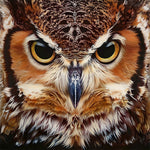 Owl face close-up cross stitch kit for beginners