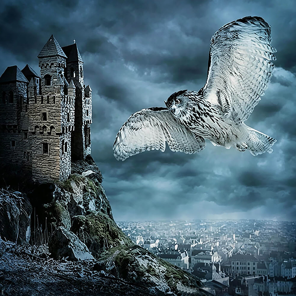 Owl flying over gothic castle cross stitch kit for beginners