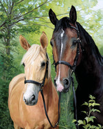 Pair of horses portrait cross stitch kit for beginners