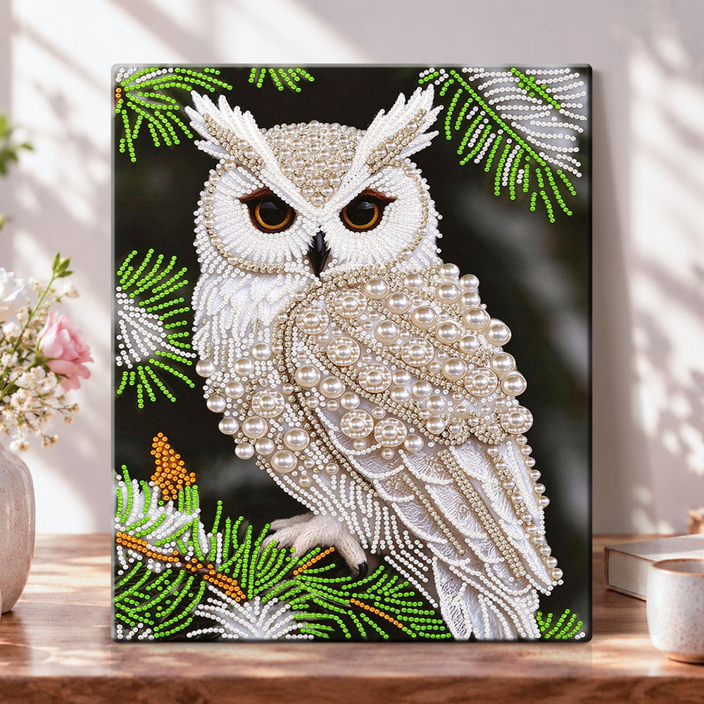 Pearl owl in pine pearl diamond painting kit for beginners