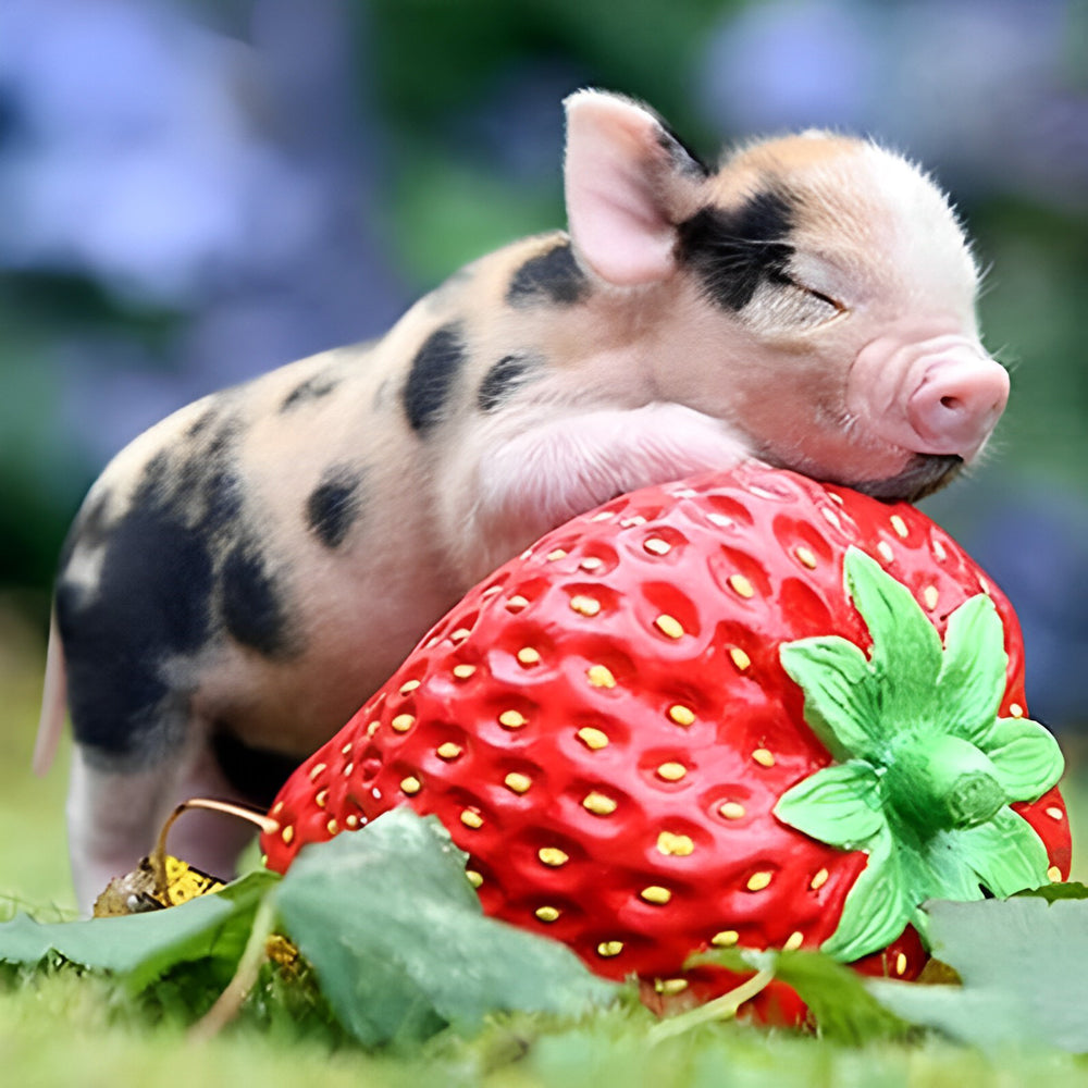 Piglet sleeping on giant strawberry cross stitch kit for beginners