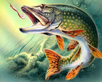 Pike fish with lure paint by numbers kit for beginners