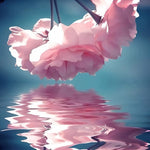Pink blossoms with water reflection cross stitch kit for beginners