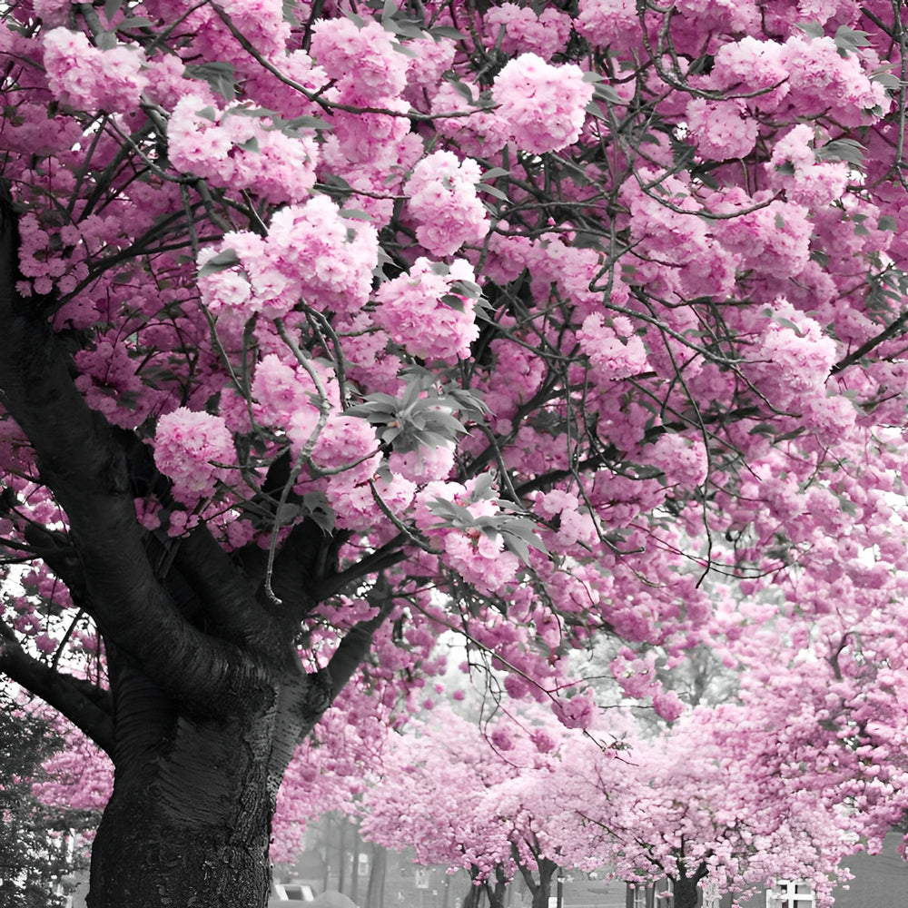 Pink cherry blossom tree cross stitch kit for beginners