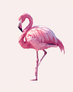 Pink geometric flamingo paint by numbers kit for beginners
