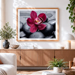 Finished pink orchid on black pebbles paint by numbers artwork displayed as home decor