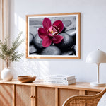 Pink orchid on black pebbles paint by numbers artwork displayed on wall as home decor
