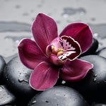 Pink orchid on black stones cross stitch kit for beginners