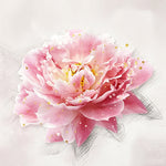 Pink peony with gold leaf splatter cross stitch kit for beginners