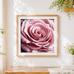 Finished pink rose close up with dew drops cross stitch artwork displayed