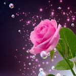 Pink rose with sparkling bubbles cross stitch kit for beginners