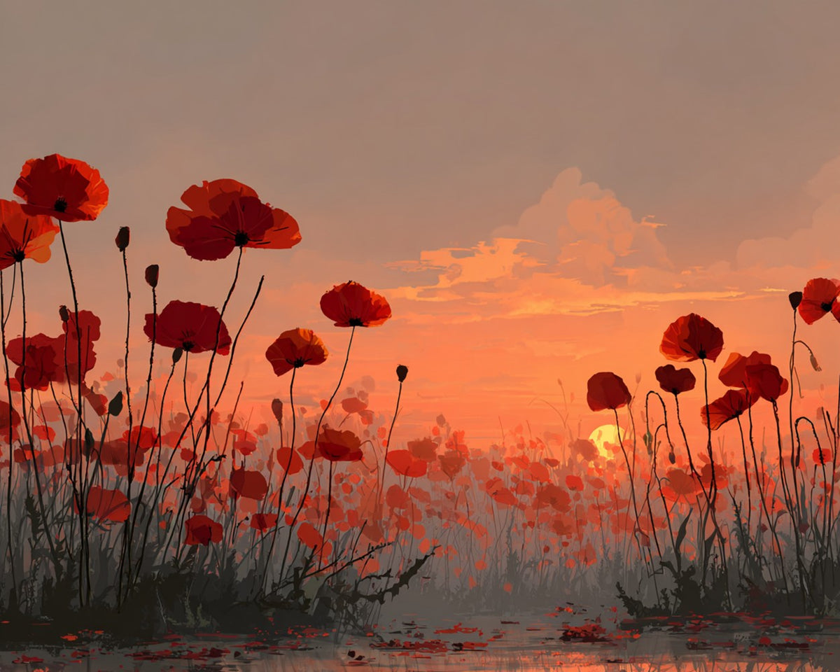 Poppy field at sunset paint by numbers kit for beginners