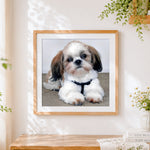 Finished portrait of a cute shih tzu puppy cross stitch artwork displayed