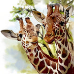 Portrait of a giraffe pair cross stitch kit for beginners