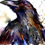 Portrait of a raven cross stitch kit for beginners