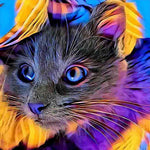Psychedelic colourful cat portrait cross stitch kit for beginners