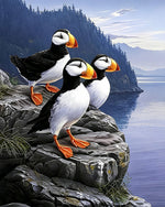 Puffins on cliff cross stitch kit for beginners