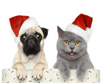 Pug and grey cat in santa hats cross stitch kit for beginners
