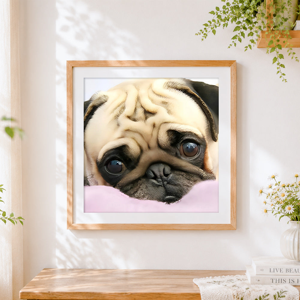 Finished pug resting on a pink pillow cross stitch artwork displayed