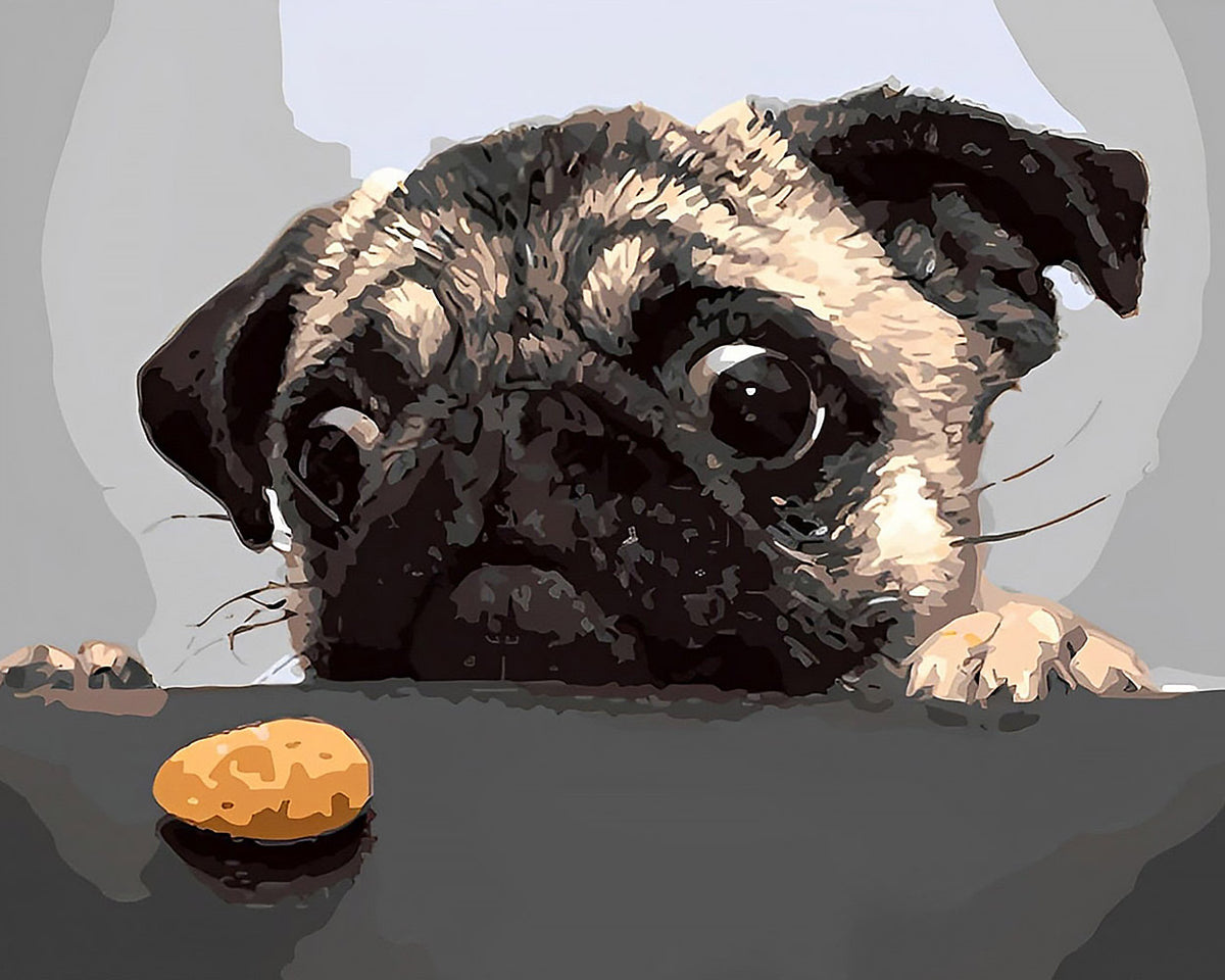 Pug with a biscuit cross stitch kit for beginners