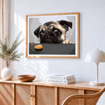 Pug with a biscuit cross stitch artwork displayed on wall as home decor