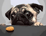 Pug with a biscuit paint by numbers kit for beginners