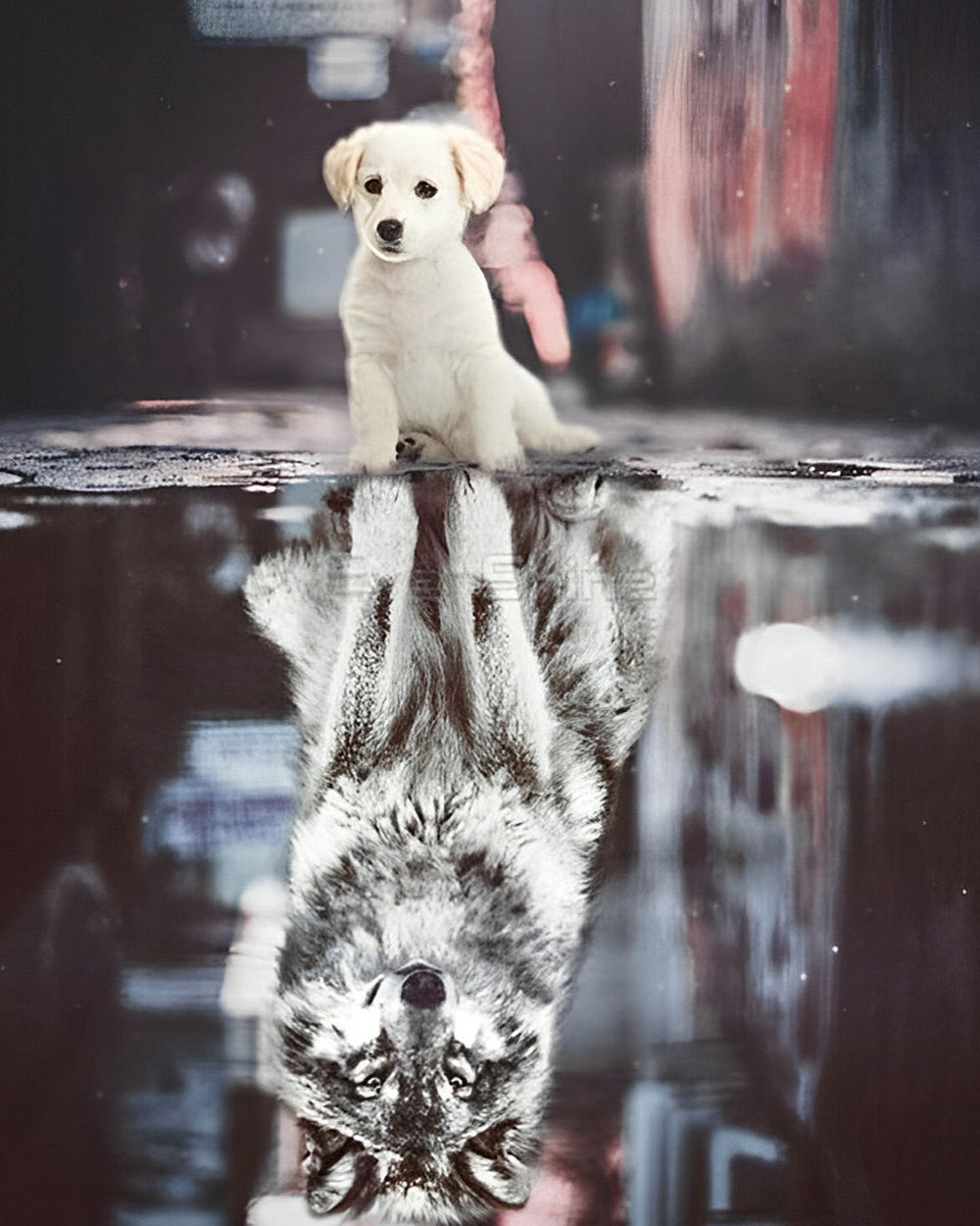 Puppy with wolf reflection cross stitch kit for beginners