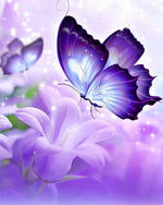 Purple butterfly on lily flower cross stitch kit for beginners