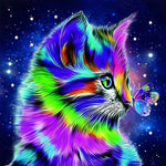 Rainbow cat and butterfly in starry night paint by numbers kit for beginners