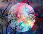 Rainbow full moon and tree branches paint by numbers kit for beginners