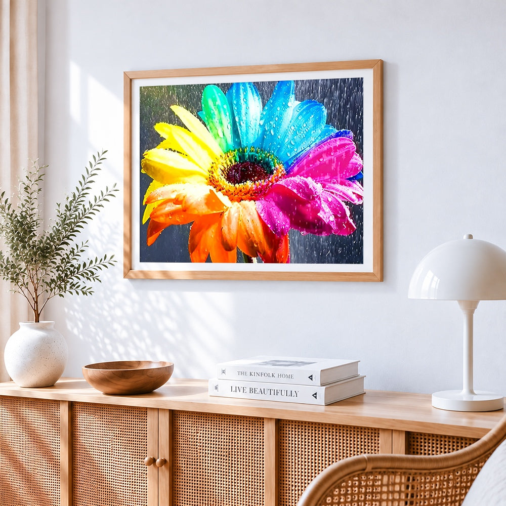 Rainbow gerbera daisy with water droplets paint by numbers artwork displayed on wall as home decor