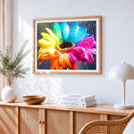 Rainbow gerbera daisy with water droplets paint by numbers artwork displayed on wall as home decor