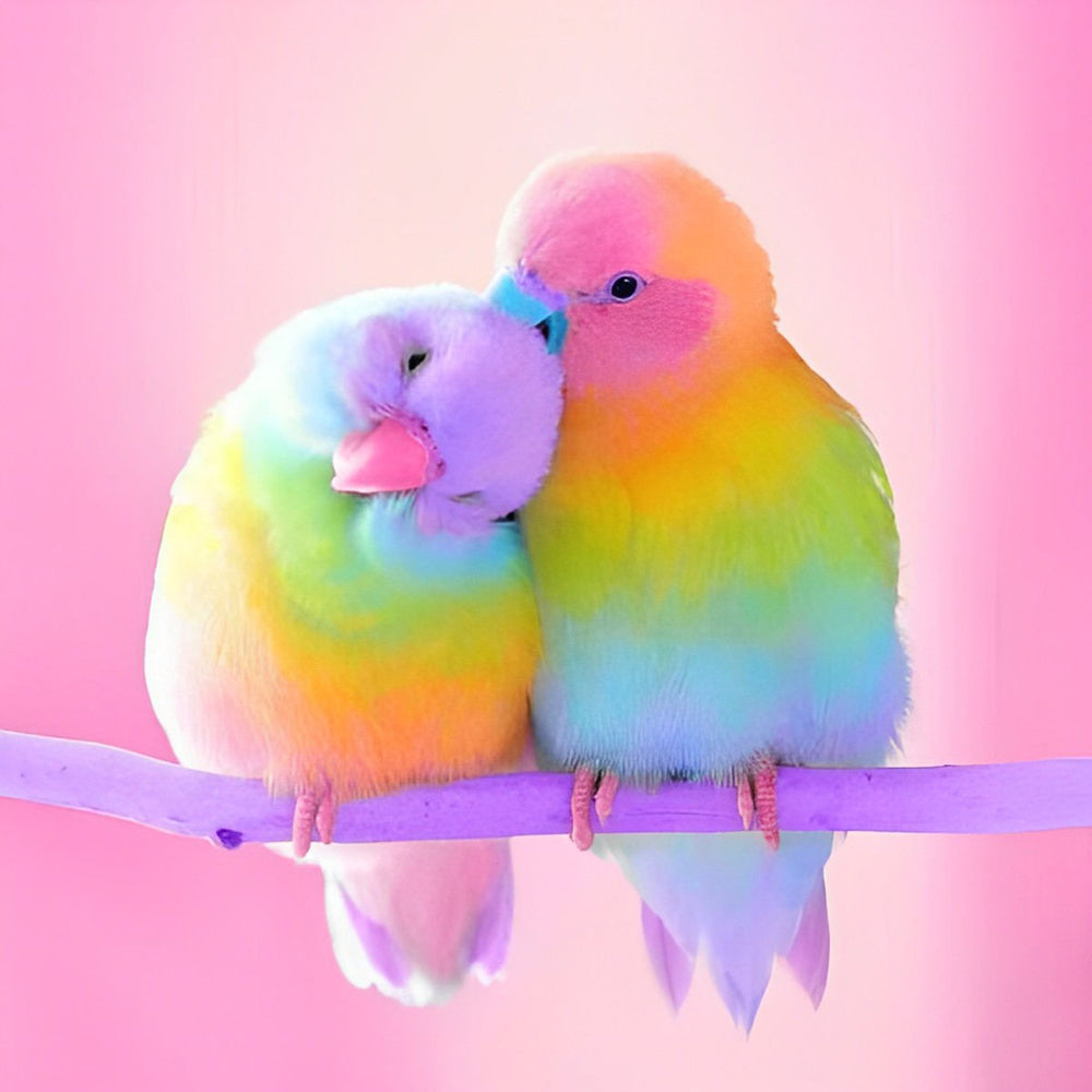 Rainbow parakeets in love cross stitch kit for beginners